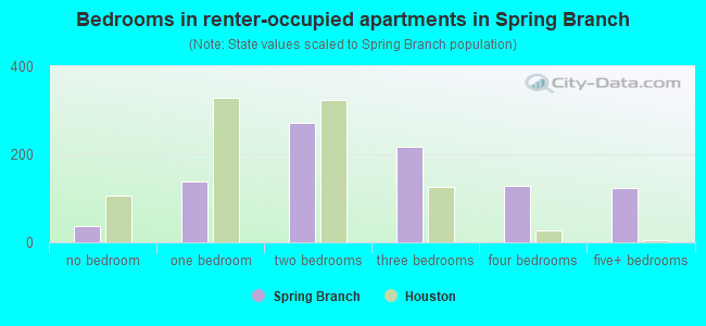 Bedrooms in renter-occupied apartments in Spring Branch