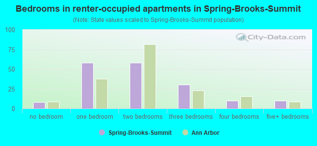 Bedrooms in renter-occupied apartments in Spring-Brooks-Summit