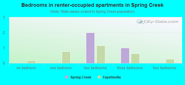 Bedrooms in renter-occupied apartments in Spring Creek