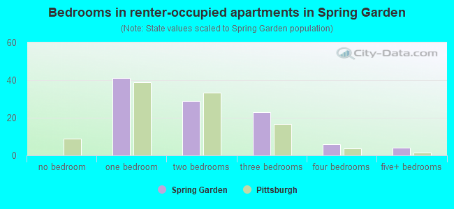 Bedrooms in renter-occupied apartments in Spring Garden