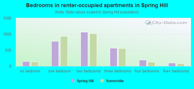 Bedrooms in renter-occupied apartments in Spring Hill