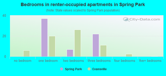 Bedrooms in renter-occupied apartments in Spring Park