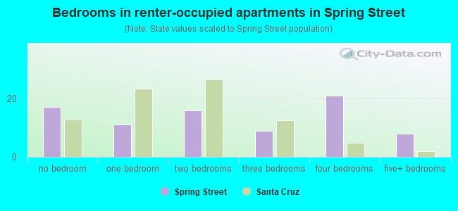 Bedrooms in renter-occupied apartments in Spring Street