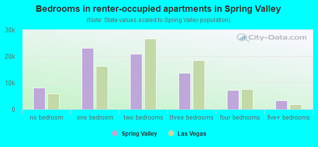 Bedrooms in renter-occupied apartments in Spring Valley