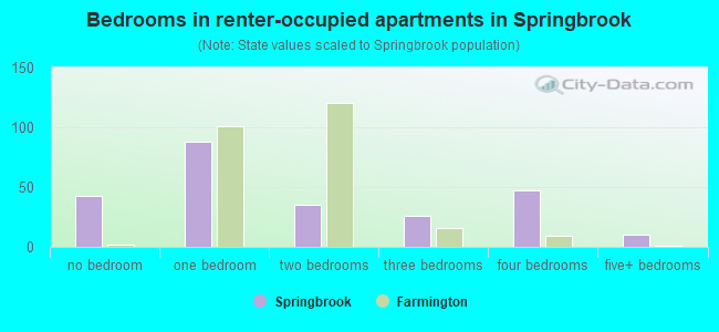 Bedrooms in renter-occupied apartments in Springbrook
