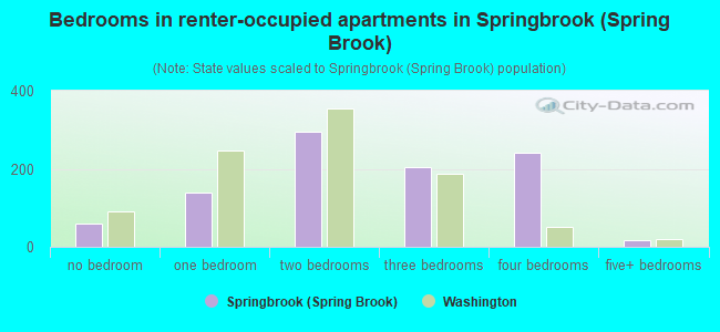 Bedrooms in renter-occupied apartments in Springbrook (Spring Brook)