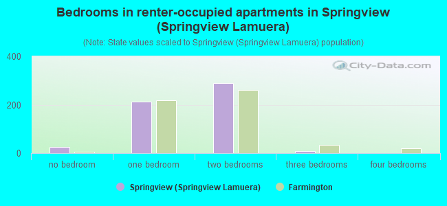 Bedrooms in renter-occupied apartments in Springview (Springview Lamuera)