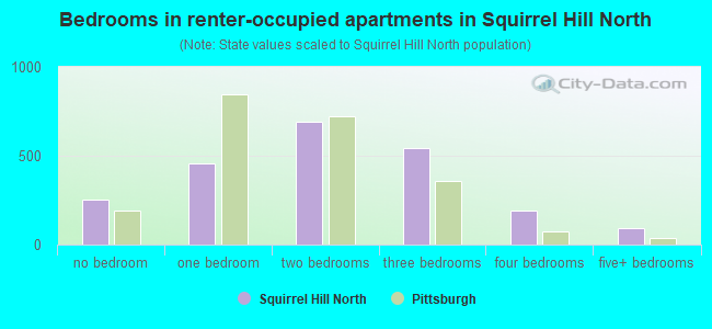 Bedrooms in renter-occupied apartments in Squirrel Hill North