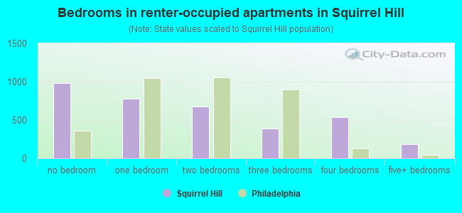 Bedrooms in renter-occupied apartments in Squirrel Hill