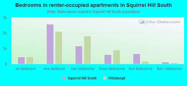 Bedrooms in renter-occupied apartments in Squirrel Hill South