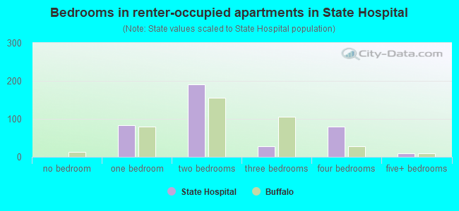 Bedrooms in renter-occupied apartments in State Hospital