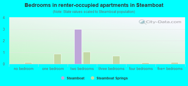 Bedrooms in renter-occupied apartments in Steamboat