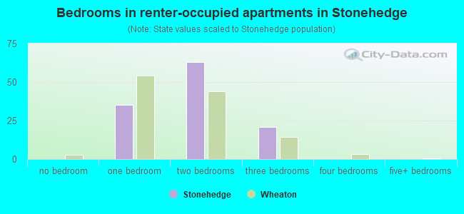 Bedrooms in renter-occupied apartments in Stonehedge