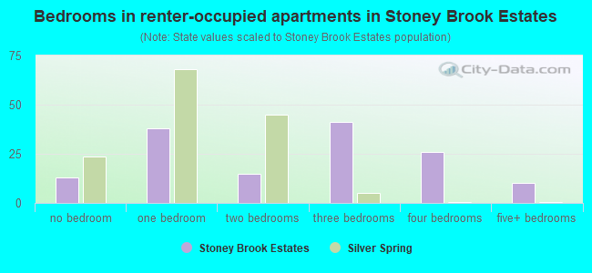 Bedrooms in renter-occupied apartments in Stoney Brook Estates