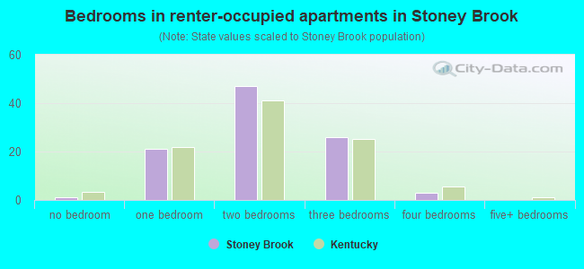 Bedrooms in renter-occupied apartments in Stoney Brook