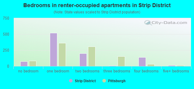 Bedrooms in renter-occupied apartments in Strip District