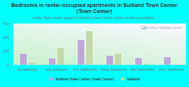 Bedrooms in renter-occupied apartments in Suitland Town Center (Town Center)