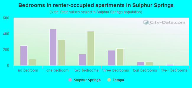 Bedrooms in renter-occupied apartments in Sulphur Springs