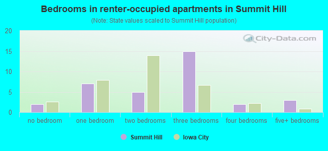 Bedrooms in renter-occupied apartments in Summit Hill
