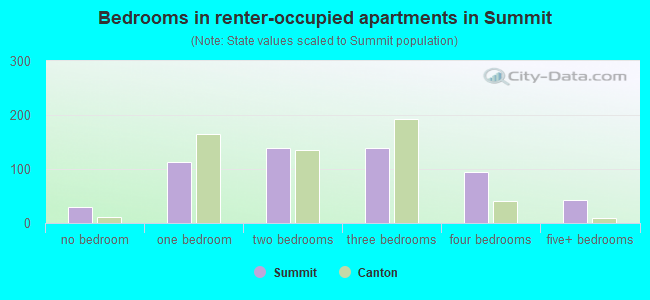 Bedrooms in renter-occupied apartments in Summit