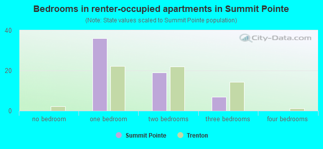 Bedrooms in renter-occupied apartments in Summit Pointe