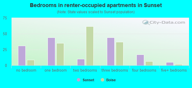 Bedrooms in renter-occupied apartments in Sunset