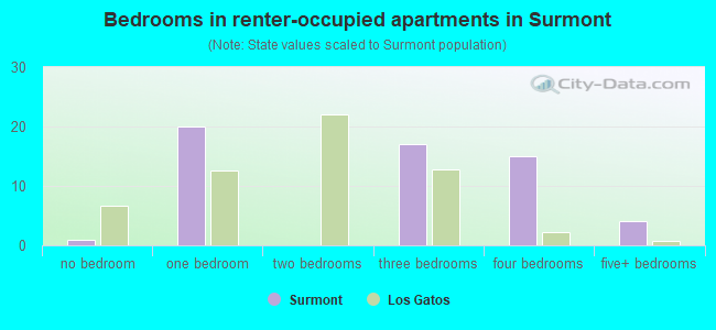 Bedrooms in renter-occupied apartments in Surmont