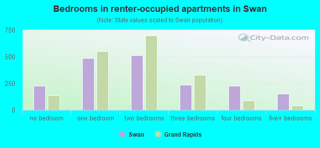 Bedrooms in renter-occupied apartments in Swan