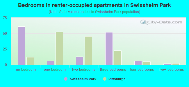 Bedrooms in renter-occupied apartments in Swisshelm Park