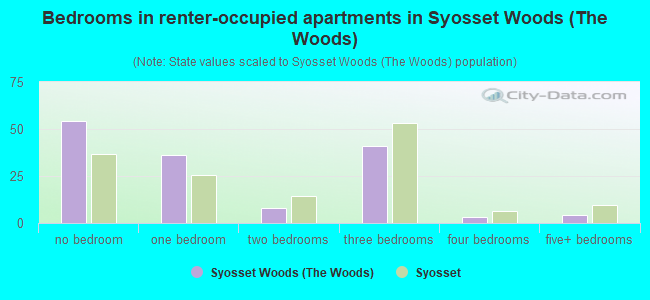 Bedrooms in renter-occupied apartments in Syosset Woods (The Woods)