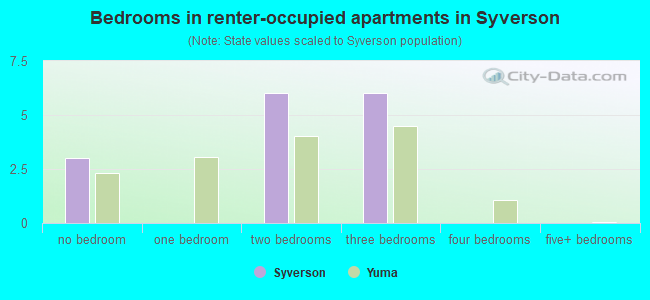 Bedrooms in renter-occupied apartments in Syverson