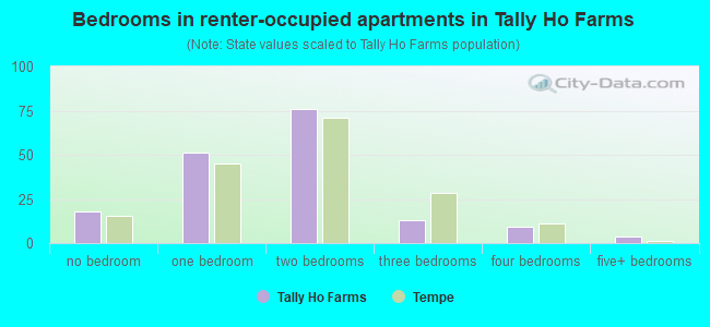 Bedrooms in renter-occupied apartments in Tally Ho Farms