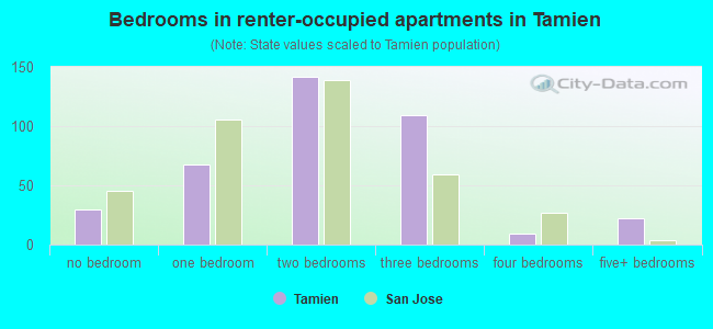 Bedrooms in renter-occupied apartments in Tamien