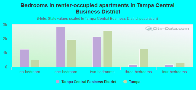 Bedrooms in renter-occupied apartments in Tampa Central Business District