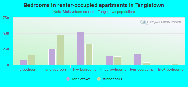 Bedrooms in renter-occupied apartments in Tangletown