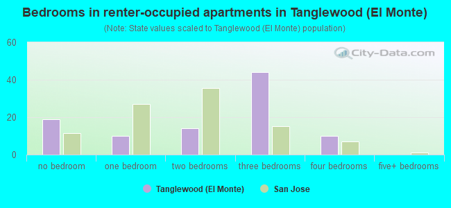 Bedrooms in renter-occupied apartments in Tanglewood (El Monte)