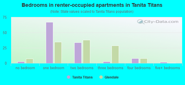 Bedrooms in renter-occupied apartments in Tanita Titans