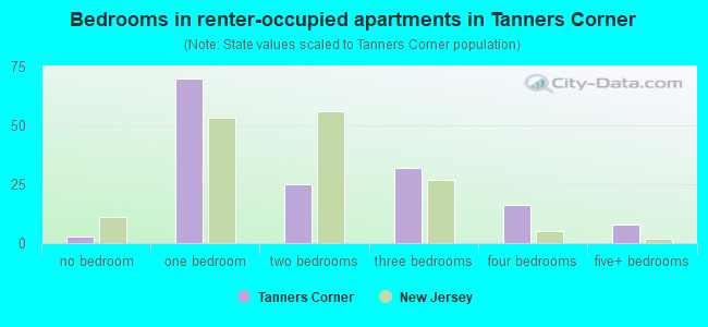 Bedrooms in renter-occupied apartments in Tanners Corner