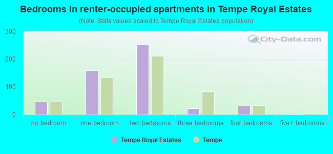 Bedrooms in renter-occupied apartments in Tempe Royal Estates