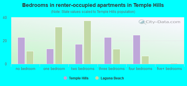 Bedrooms in renter-occupied apartments in Temple Hills