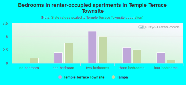 Bedrooms in renter-occupied apartments in Temple Terrace Townsite
