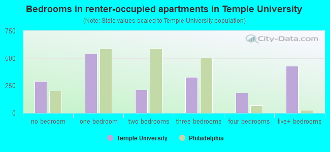 Bedrooms in renter-occupied apartments in Temple University