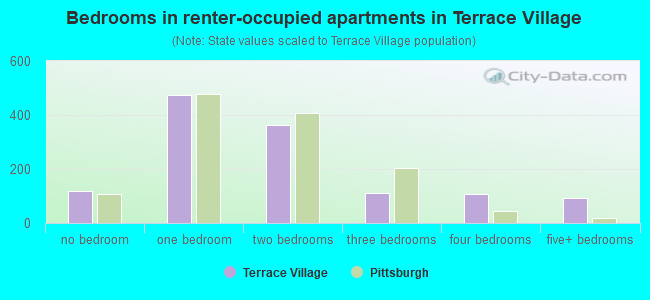 Bedrooms in renter-occupied apartments in Terrace Village