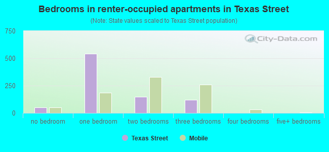 Bedrooms in renter-occupied apartments in Texas Street