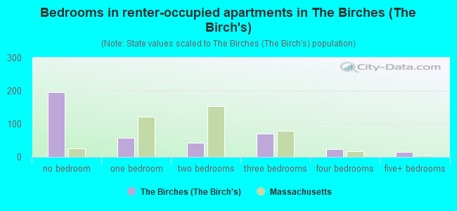 Bedrooms in renter-occupied apartments in The Birches (The Birch's)