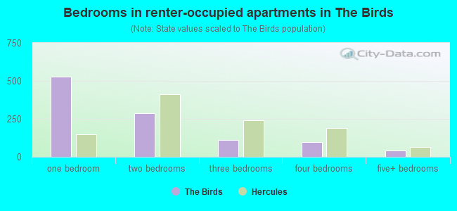 Bedrooms in renter-occupied apartments in The Birds