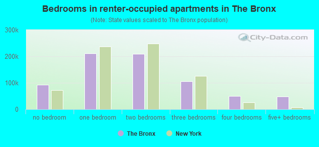 Bedrooms in renter-occupied apartments in The Bronx