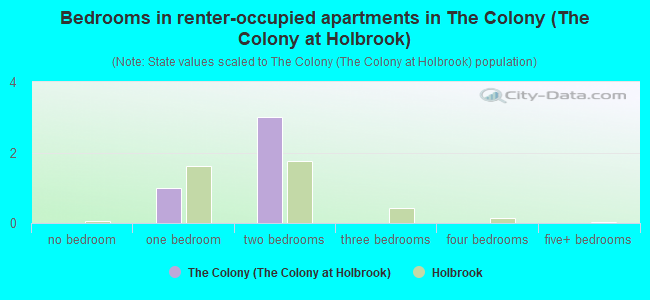 Bedrooms in renter-occupied apartments in The Colony (The Colony at Holbrook)
