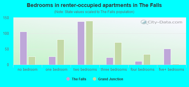 Bedrooms in renter-occupied apartments in The Falls
