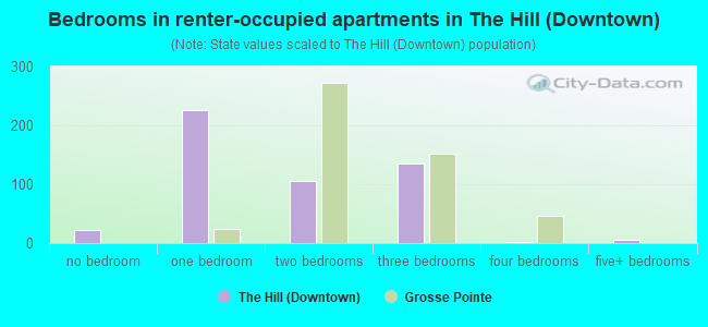 Bedrooms in renter-occupied apartments in The Hill (Downtown)